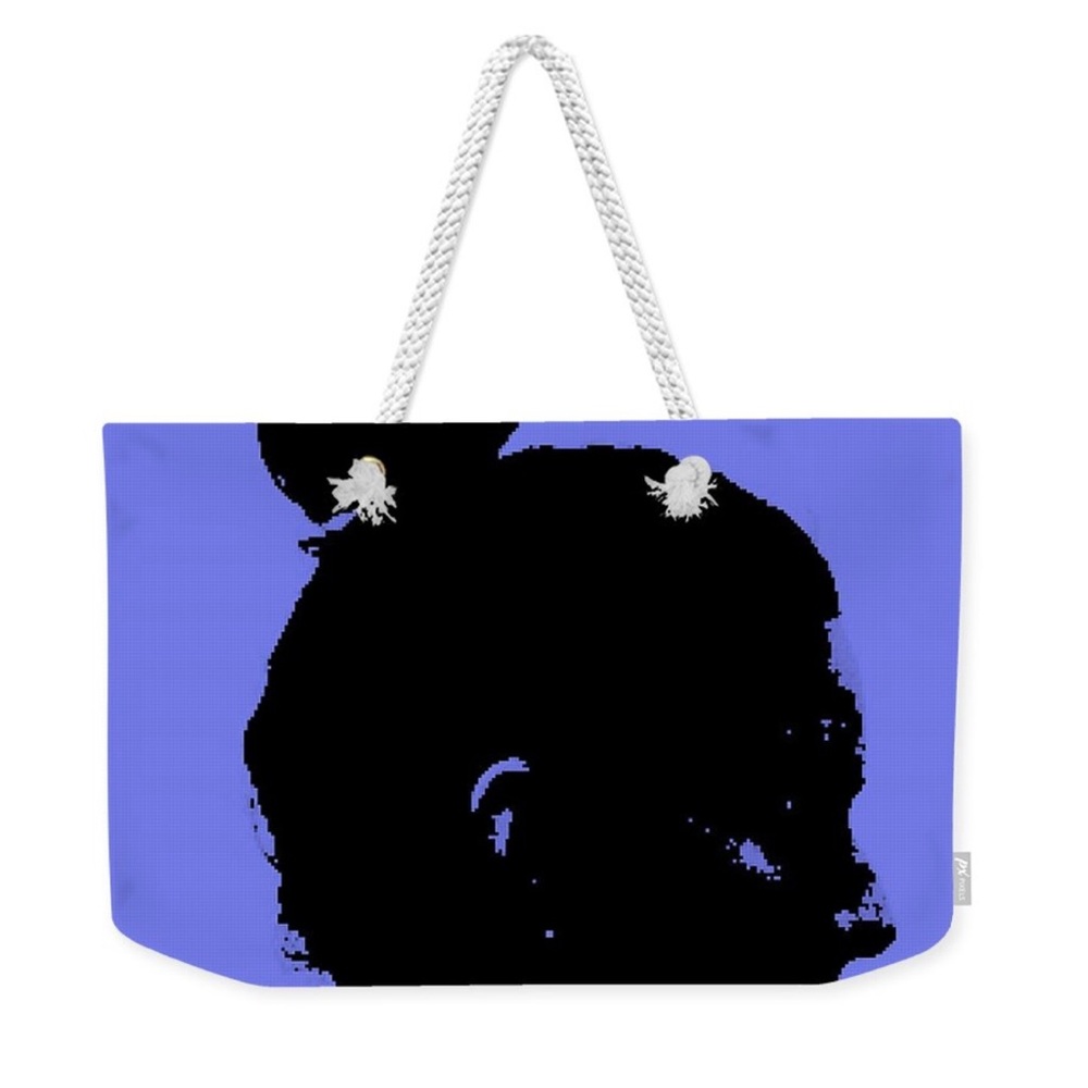 Vibrant Blue Tote with Nautical Rope Handles and Bold Graphic